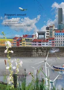 Conseil général de l Environnement et du Développement durable. Rapport annuel 2010.