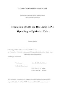 Regulation of SRF via Rac-actin-MAL signalling in epithelial cells [Elektronische Ressource] / Stephan Busche