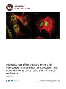 Mislocalization of the exitatory amino-acid transporters (EAATs) in human astrocytoma and non-astrocytoma cancer cells: effect of the cell confluence