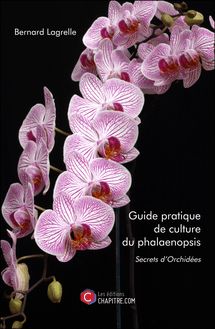 Guide pratique de culture du phalaenopsis