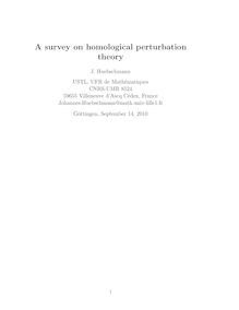 A survey on homological perturbation theory