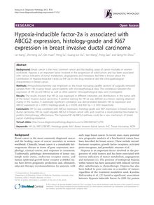 Hypoxia-inducible factor-2a is associated with ABCG2 expression, histology-grade and Ki67 expression in breast invasive ductal carcinoma