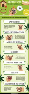 Benefits of CBD Dog Treats