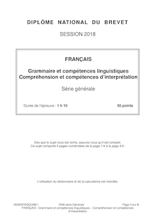 Brevet 2018 : série générale grammaire et compréhension