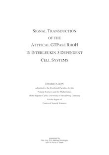 Signal transduction of the atypical GTPase RhoH in Interleukin-3 dependent cell systems [Elektronische Ressource] / presented by Mehtap Gündogdu