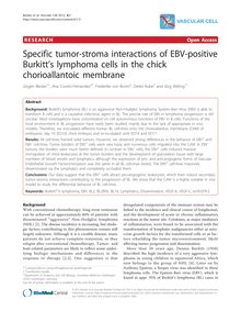 Specific tumor-stroma interactions of EBV-positive Burkitt s lymphoma cells in the chick chorioallantoic membrane