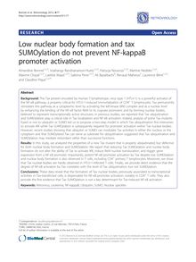 Low nuclear body formation and tax SUMOylation do not prevent NF-kappaB promoter activation
