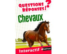 Chevaux - Questions/Réponses