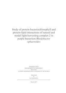 Study of protein-bacteriochlorophyll and protein-lipid interactions of natural and model light-harvesting complex 2 in purple bacterium Rhodobacter sphaeroides [Elektronische Ressource] / submitted by Lee Gyan Kwa