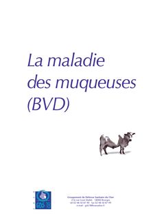 La maladie des muqueuses (BVD)