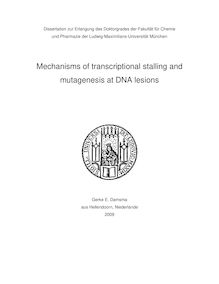 Mechanisms of transcriptional stalling and mutagenesis at DNA lesions [Elektronische Ressource] / Gerke E. Damsma