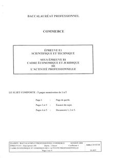 Bacpro commerce cadre economique et juridique de l activite professionnelle 2004