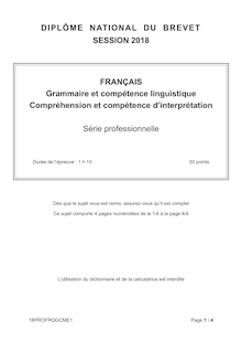  Sujet du Brevet Français - Partie 1 et 2 - série Pro - 2018 
