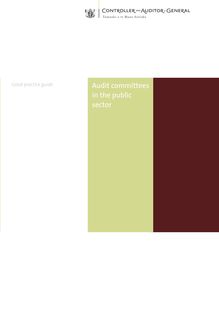 Audit committees in the public sector