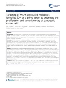 Targeting of MAPK-associated molecules identifies SON as a prime target to attenuate the proliferation and tumorigenicity of pancreatic cancer cells