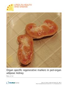 Organ specific regenerative markers in peri-organ adipose: kidney