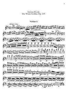 Partition violons I, pour Water Goblin, Vodník, Der Wassermann, B minor