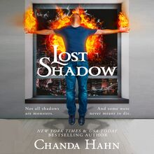 Lost Shadow: Neverwood Chronicles, Book 3