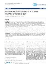 Isolation and characterization of human spermatogonial stem cells