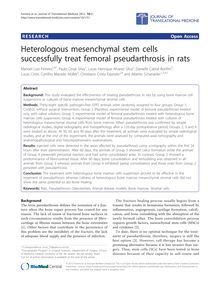 Heterologous mesenchymal stem cells successfully treat femoral pseudarthrosis in rats