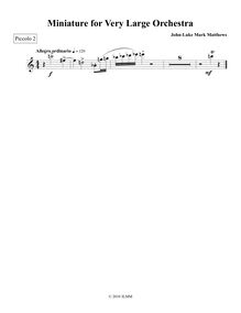 Partition Piccolo 2, Miniature pour Very grand orchestre, Matthews, John-Luke Mark