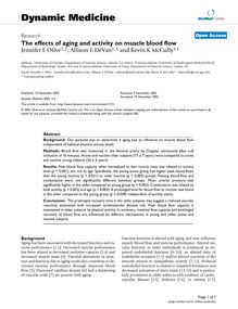 The effects of aging and activity on muscle blood flow
