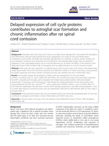 Delayed expression of cell cycle proteins contributes to astroglial scar formation and chronic inflammation after rat spinal cord contusion