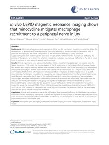 In vivo USPIO magnetic resonance imaging shows that minocycline mitigates macrophage recruitment to a peripheral nerve injury