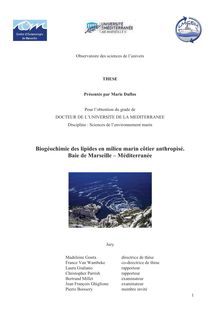 Biogéochimie des lipides en milieu marin côtier anthropisé : baie de Marseille - Méditerranée, Biogeochemistry of lipids in a marine coastal anthropized environment : bay of Marseille - Mediterranean sea