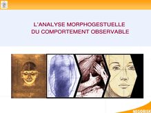 Diapositive 1 - morphogestuelle - langage corporel