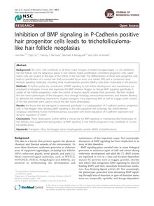 Inhibition of BMP signaling in P-Cadherin positive hair progenitor cells leads to trichofolliculoma-like hair follicle neoplasias