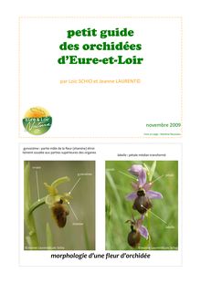 Petit guide des orchidées d Eure-et-Loir
