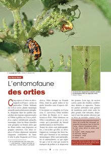L entomofaune des orties / Insectes n° 158