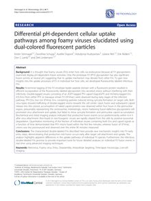 Differential pH-dependent cellular uptake pathways among foamy viruses elucidated using dual-colored fluorescent particles