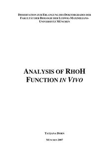 Analysis of RhoH function in vivo [Elektronische Ressource] / Tatjana Dorn
