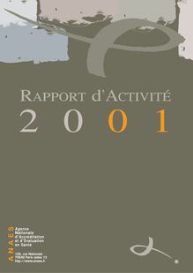Rapport d activité 2001