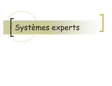 4SysExpert - Systèmes experts