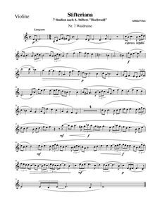 Partition , Waldruine, partition de violon, Stifteriana, Sieben Bilder für Violine und Klavier nach den sieben Kapiteln aus Adalbert Stifters Hochwald