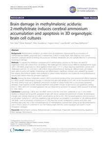Brain damage in methylmalonic aciduria: 2-methylcitrate induces cerebral ammonium accumulation and apoptosis in 3D organotypic brain cell cultures