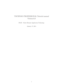 TOCHNOG PROFESSIONAL Tutorial manual Version 6.0