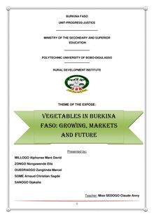 VEGETABLES IN BURKINA FASO: GROWING, MARKETS AND FUTURE