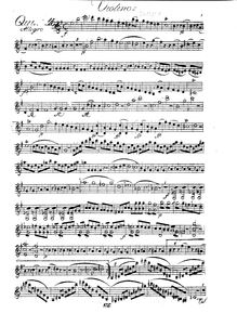 Partition violon, flûte quintette, E minor, Krommer, Franz