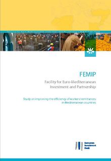 Study on improving the efficiency of workers  remittances in Mediterranean countries