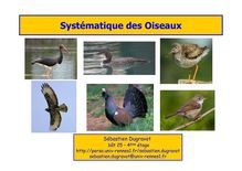 Systématique des Oiseaux