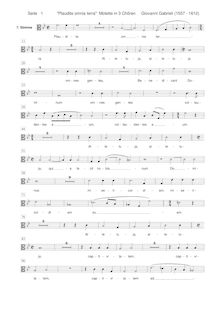 Partition Ch.2 - ténor [C3 clef], Sacrae symphoniae, Gabrieli, Giovanni