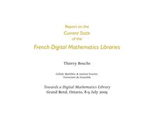Report on the Current State of the French DMLs