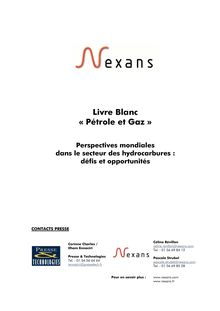Livre Blanc " Pétrole et Gaz "