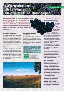 La protection de  la vigne en agriculture biologique
