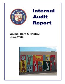 AC&C Audit 2004