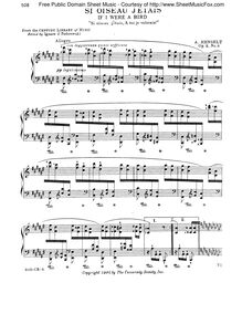 Partition complète, 12 Études caractéristiques de concert pour le piano par Adolf von Henselt